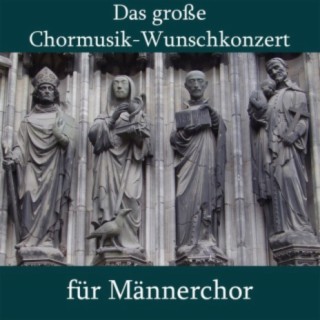 Chor und Orchester Harry Pleva