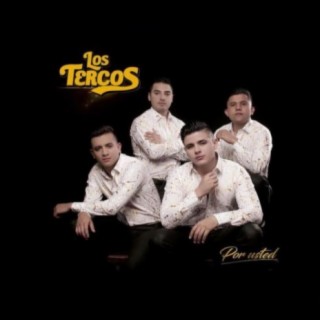 Los Tercos