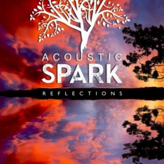 Acoustic Spark