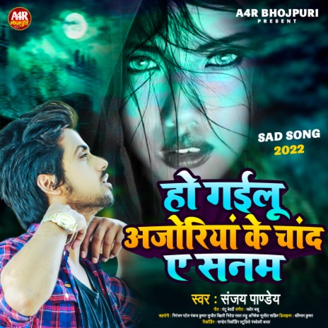 Ho Gailu Ajoriya Ke Chand Ae Sanam (Bhojpuri) | Boomplay Music