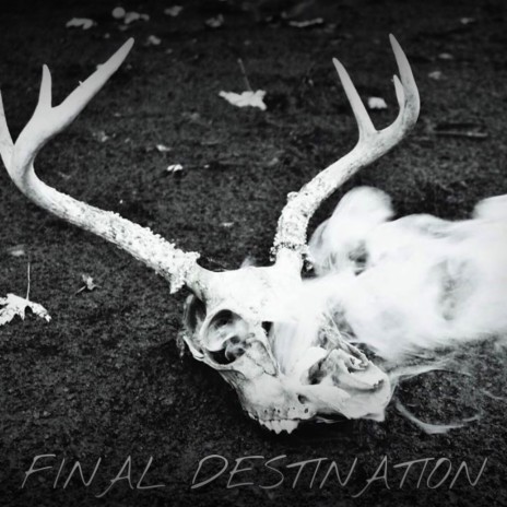 FINAL DESTINATION | Boomplay Music