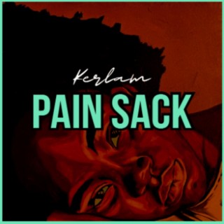 PAIN SACK