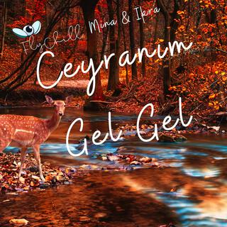 Ceyranım Gel Gel