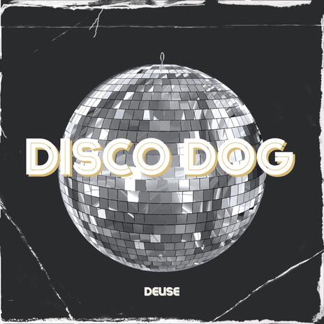 Disco Dog | Boomplay Music