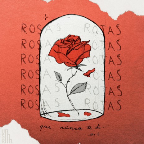 Rosas Rojas | Boomplay Music