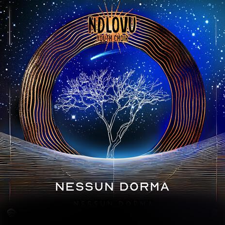 Nessun Dorma | Boomplay Music