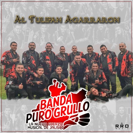 Al Tulipán Agarraron | Boomplay Music