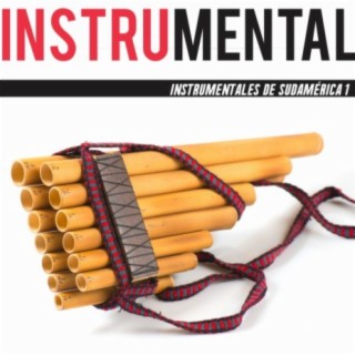 Instrumentales De Sudamérica 1