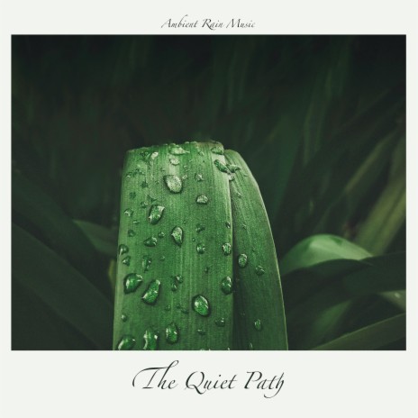 Ambient Rain Music ft. The Slumbering One | Boomplay Music