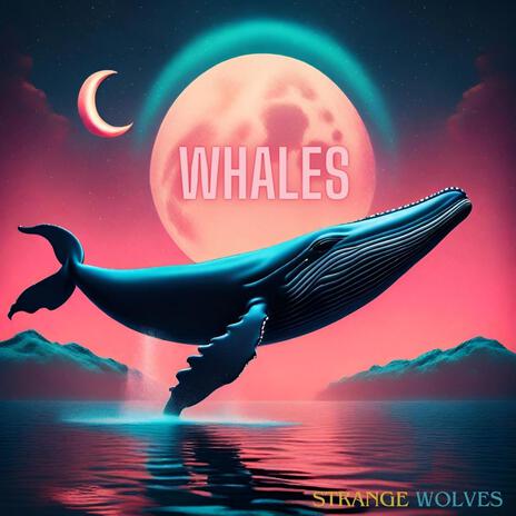 Whales | Boomplay Music