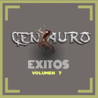 Exitos Vol. 7