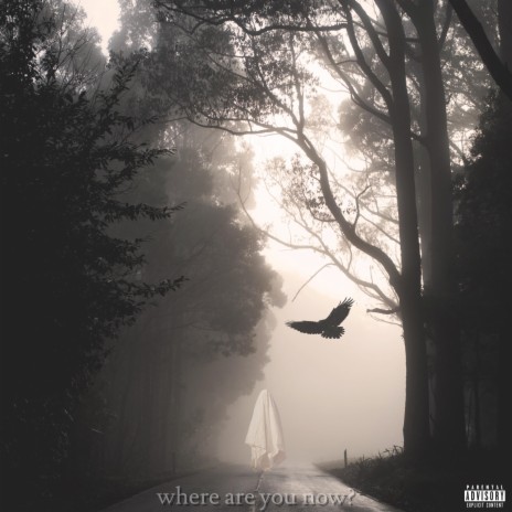where are you now? | Boomplay Music