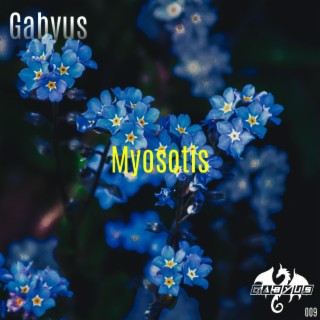 Myosotis