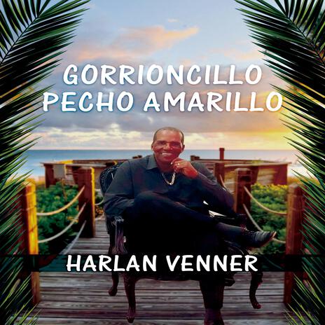 GORRIONCILLO PECHO AMARILLO | Boomplay Music