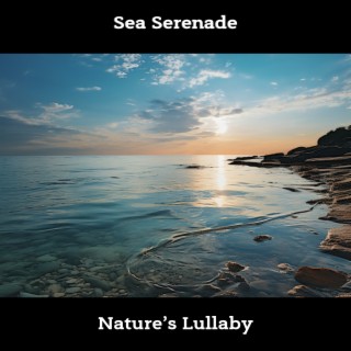 Sea Serenade: Nature’s Lullaby