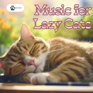 Music for Lazy Cats