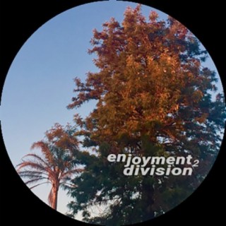 Enjoyment Division 2