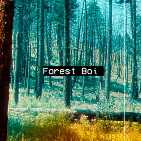 Forest Boi ft. Migullityo | Boomplay Music