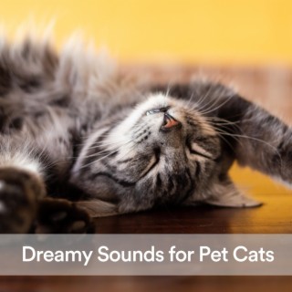 Dreamy Sounds for Pet Cats
