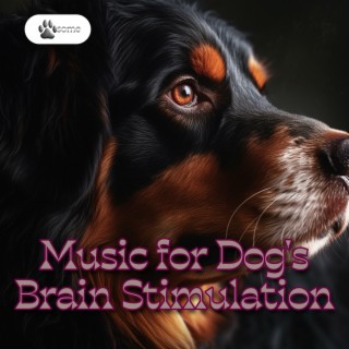 Music for Dog's Brain Stimulation