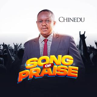 Song Of Praise lyrics | Boomplay Music