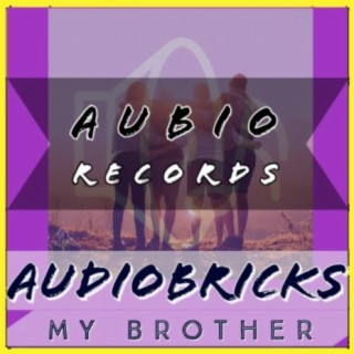 AudioBricks