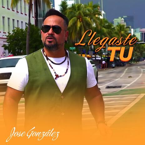 Y llegaste TU | Boomplay Music