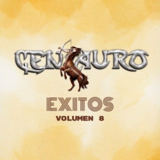 Exitos Vol. 8