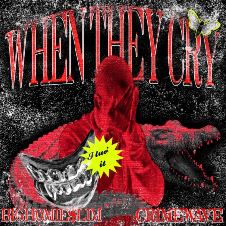 WHEN THEY CRY ft. CRIMEWAVE | Boomplay Music