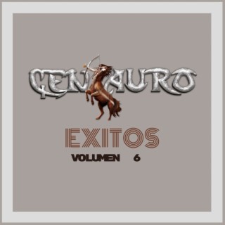 Exitos Vol. 6