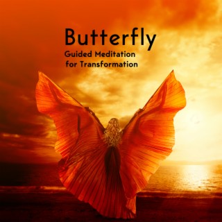 Butterfly: Guided Meditation for Transformation, Self Hypnosis Therapy, Effects Metamorphosis (Personal Development)