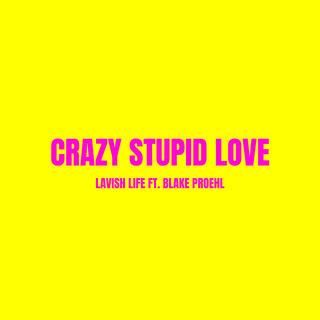 Crazy Stupid Love