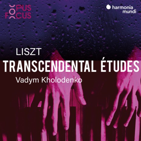 Transcendental Études, S. 139: VI. Vision | Boomplay Music