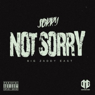 Sorry Not Sorry Freestyle