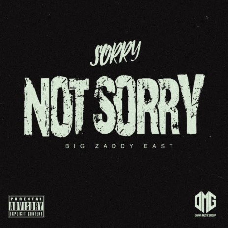 Sorry Not Sorry Freestyle | Boomplay Music