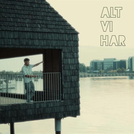 Alt vi har | Boomplay Music