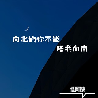 向北的你不能陪我向南 lyrics | Boomplay Music