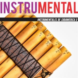 Instrumentales De Sudamérica 3