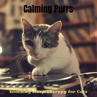 Calming Purrs: Soothing Sleep Therapy for Cats