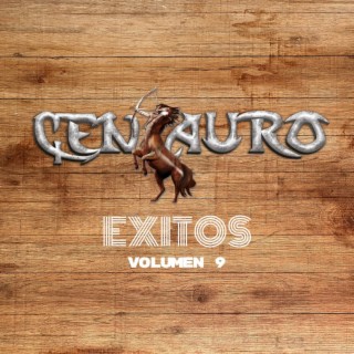 Exitos Vol. 9