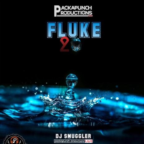 FLUKE | Boomplay Music
