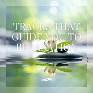 Tracks That Guide You to Relaxation