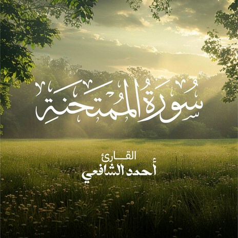 Surah Al-Mumtahanah | Boomplay Music