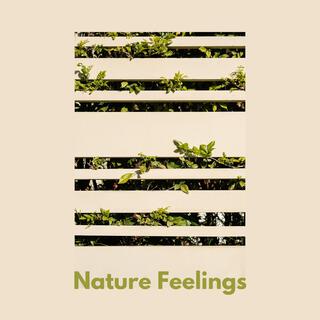 Nature Feelings