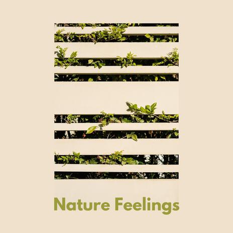 Nature Feelings | Boomplay Music