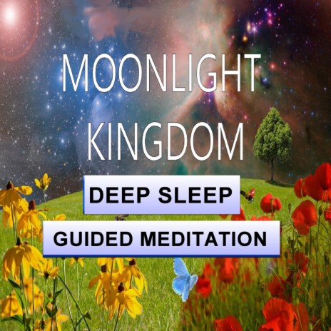 Moonlight Kingdom (Deep Sleep Guided Meditation) | Boomplay Music