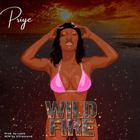 Wild Fire | Boomplay Music