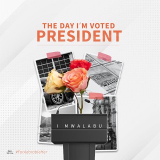 The Day I'm Voted President lyrics | Boomplay Music