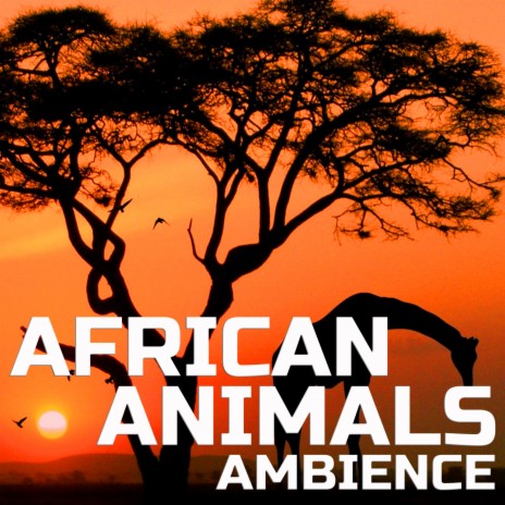 African Animals Sounds Relaxation ft. Nature Sounded, Animals Nature Sounds,  Animal Planet FX, Animals Life Sounds & Jungle Animals Ambience - Animal  Planet Soundscapes MP3 download | African Animals Sounds Relaxation ft.
