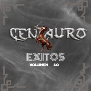 Exitos Vol. 10